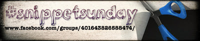 Snippet Sunday logo